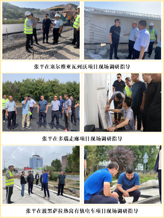 照片合集.png